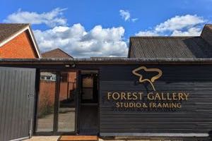 Forest Gallery new