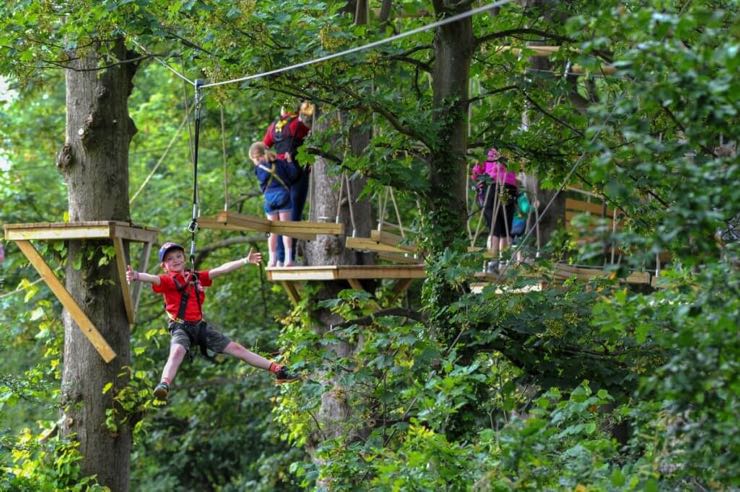 Wild Wood Guildford tree top adventures