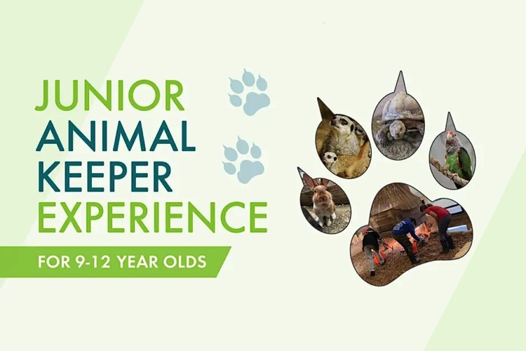 Junior Keeper 9-12 year olds 750