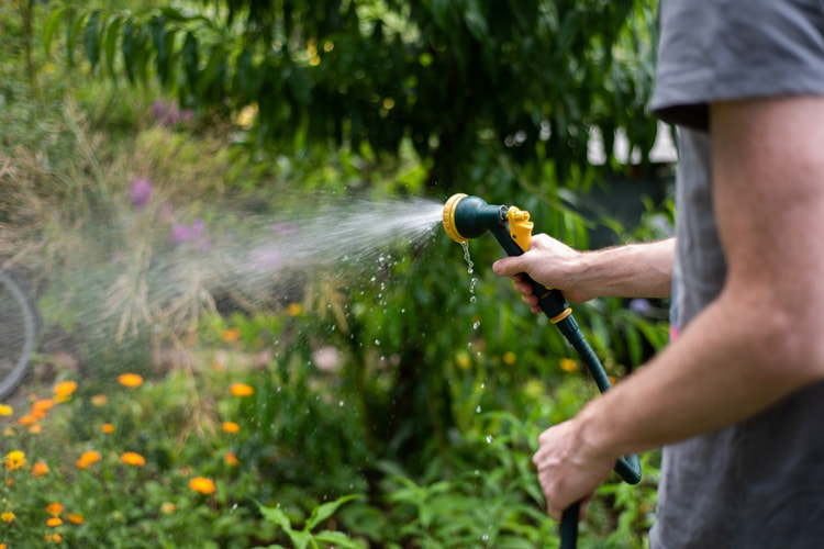 Man watering garden