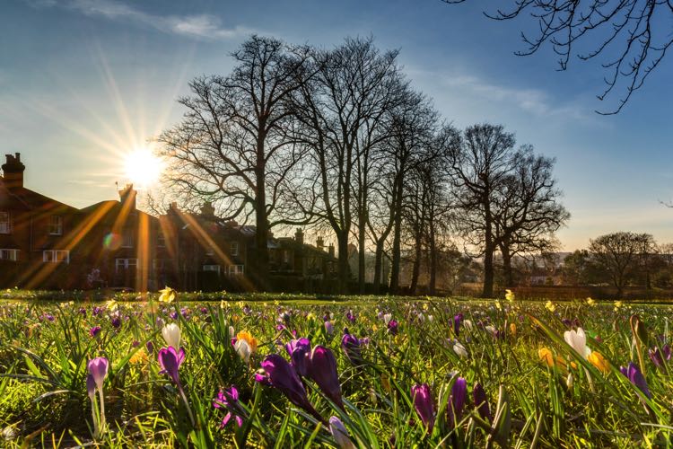 Guildford Green Flag Award