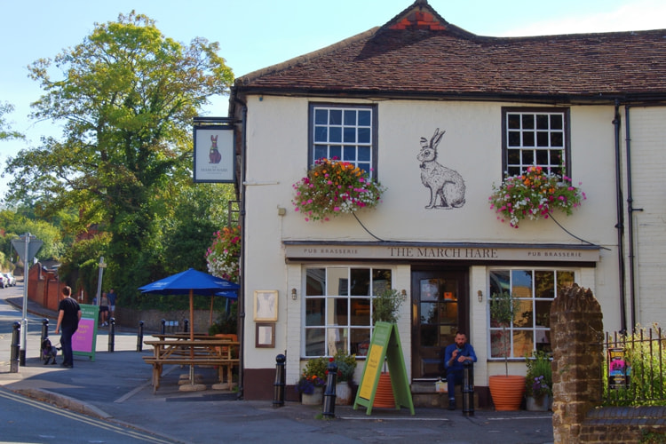 March Hare in Guildford