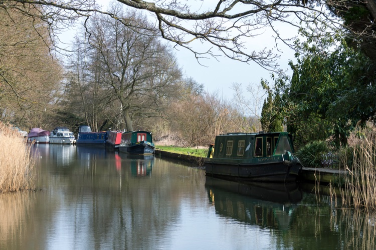 Surrey Flood Alert for River Wey