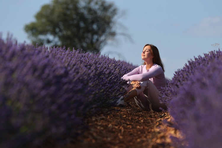 Woman sitting in lavender field