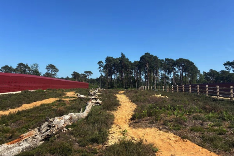 Green Bridge for wildlife and hikers