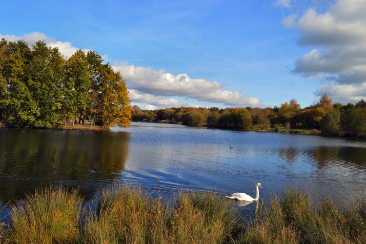 6 Underrated Holiday Destinations to Consider in Guildford This Summer