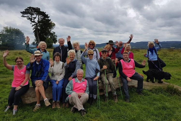Guildford Walkers Mark 21st Year of Walkfest with a Month of Free Guided Walks