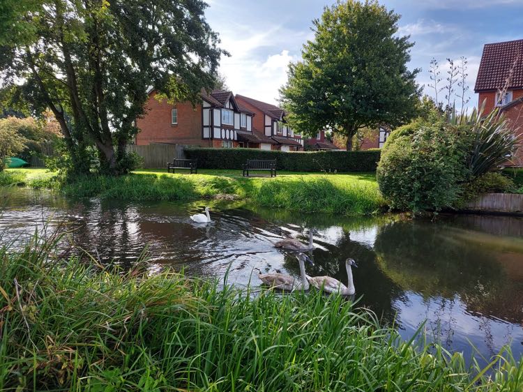 One of the walks from Guildford Walkfest